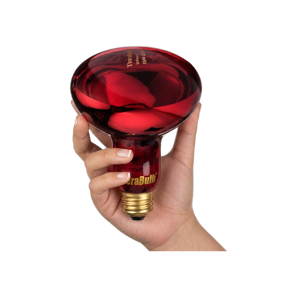 150W Near Infrared Heat Bulb 120V US, Canada, Mexico | TheraBulb