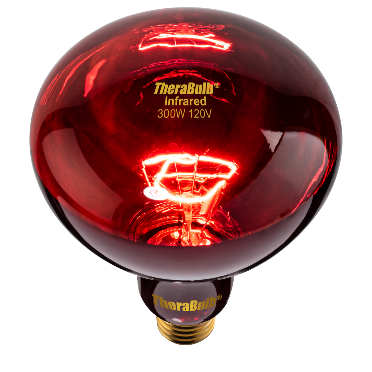 300w incandescent bulb outlet