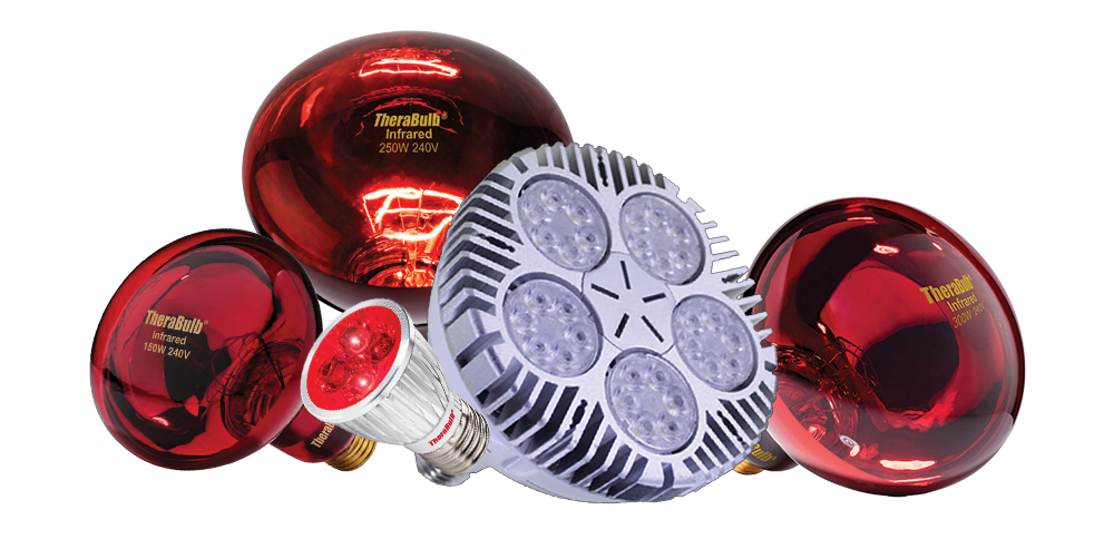 240V and universal voltage infrared bulbs