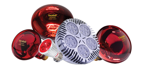 240V and universal voltage infrared bulbs