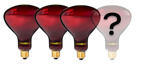 How Many Bulbs Do I Need?