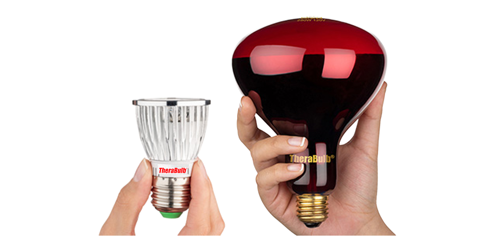 Incandescent or LED: Why Not Both?