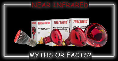 Top Five Infrared Bulb Myths