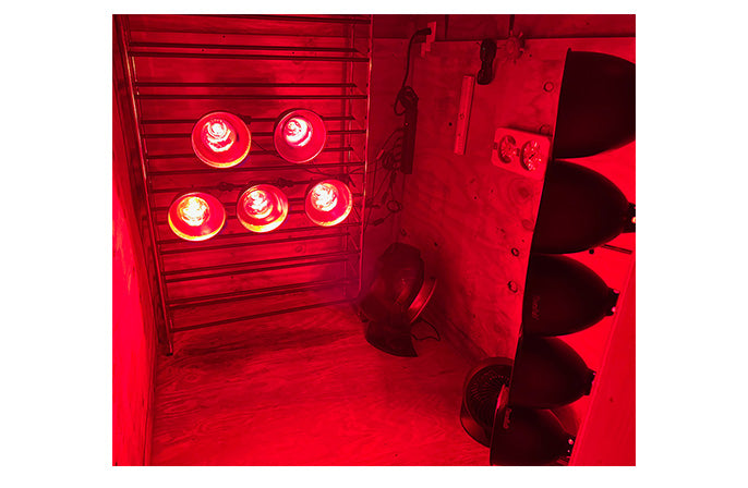 Diy red light bulb hot sale