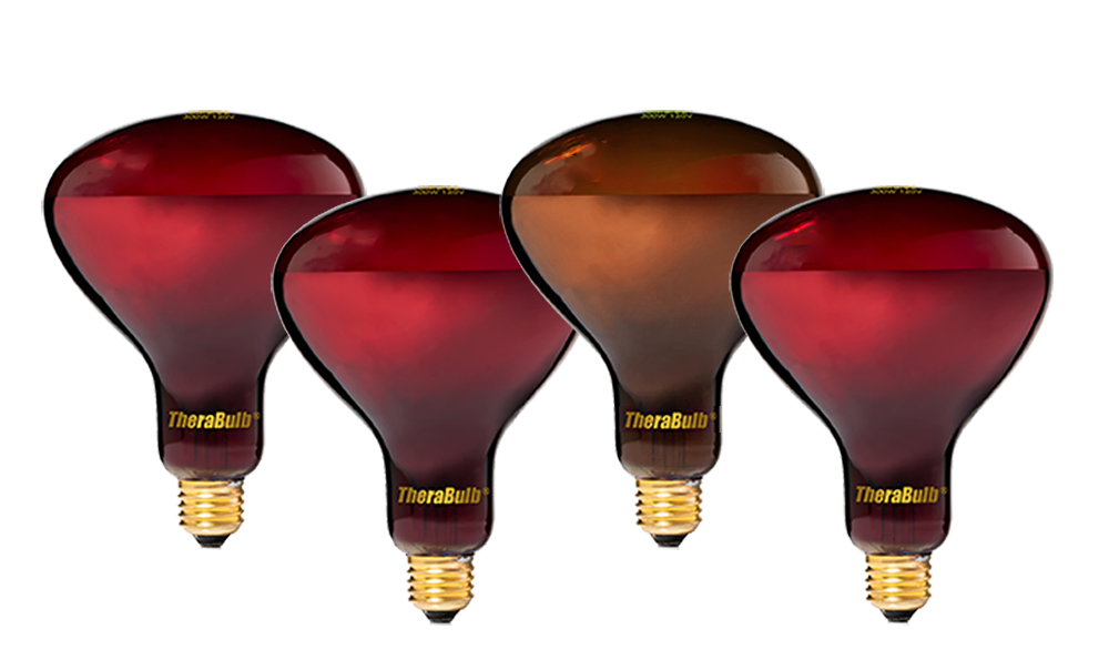Why Bulb Color and Performance are Unrelated