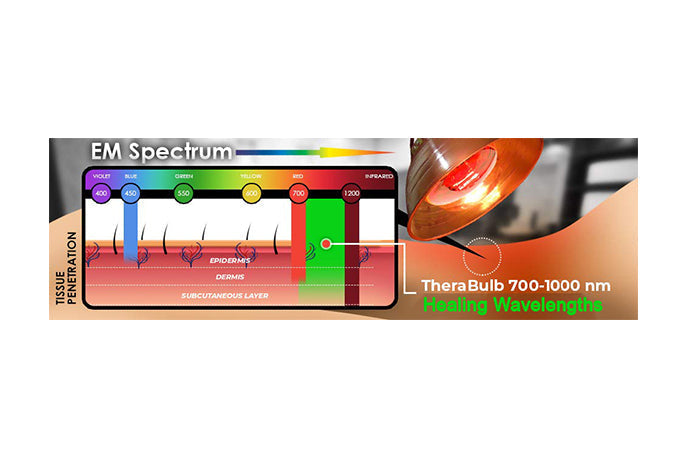 image of wavelengths of light illustrating their ability to penetrate human tissue