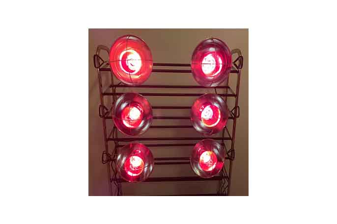 image of lit near infrared heat lamp bulb for infrared lamps and infrared saunas