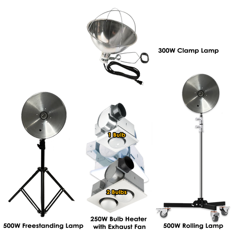Lamps and Fixtures