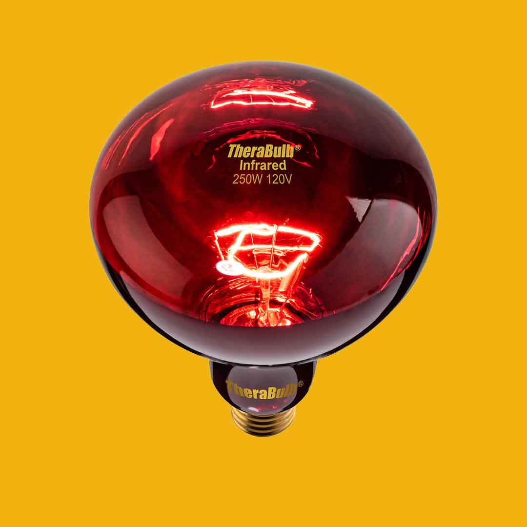 Infared Light Bundle 250W Ceiling Fixture & TheraBulb 250W Near Infared Bulb Bundle