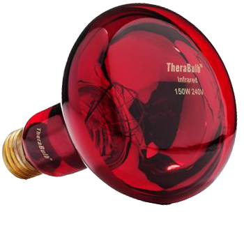 150W Near Infrared Heat Bulb 240V Europe, Asia, Africa & Oceania | TheraBulb