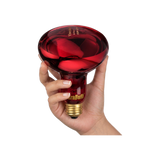 150W Near Infrared Heat Bulb 120V US, Canada, Mexico | TheraBulb