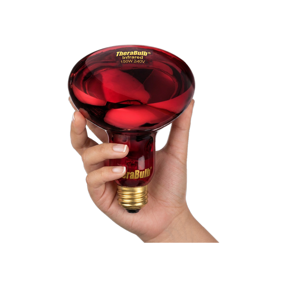 150W Near Infrared Heat Bulb 240V Europe, Asia, Africa & Oceania | TheraBulb