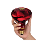 150W Near Infrared Heat Bulb 240V Europe, Asia, Africa & Oceania | TheraBulb
