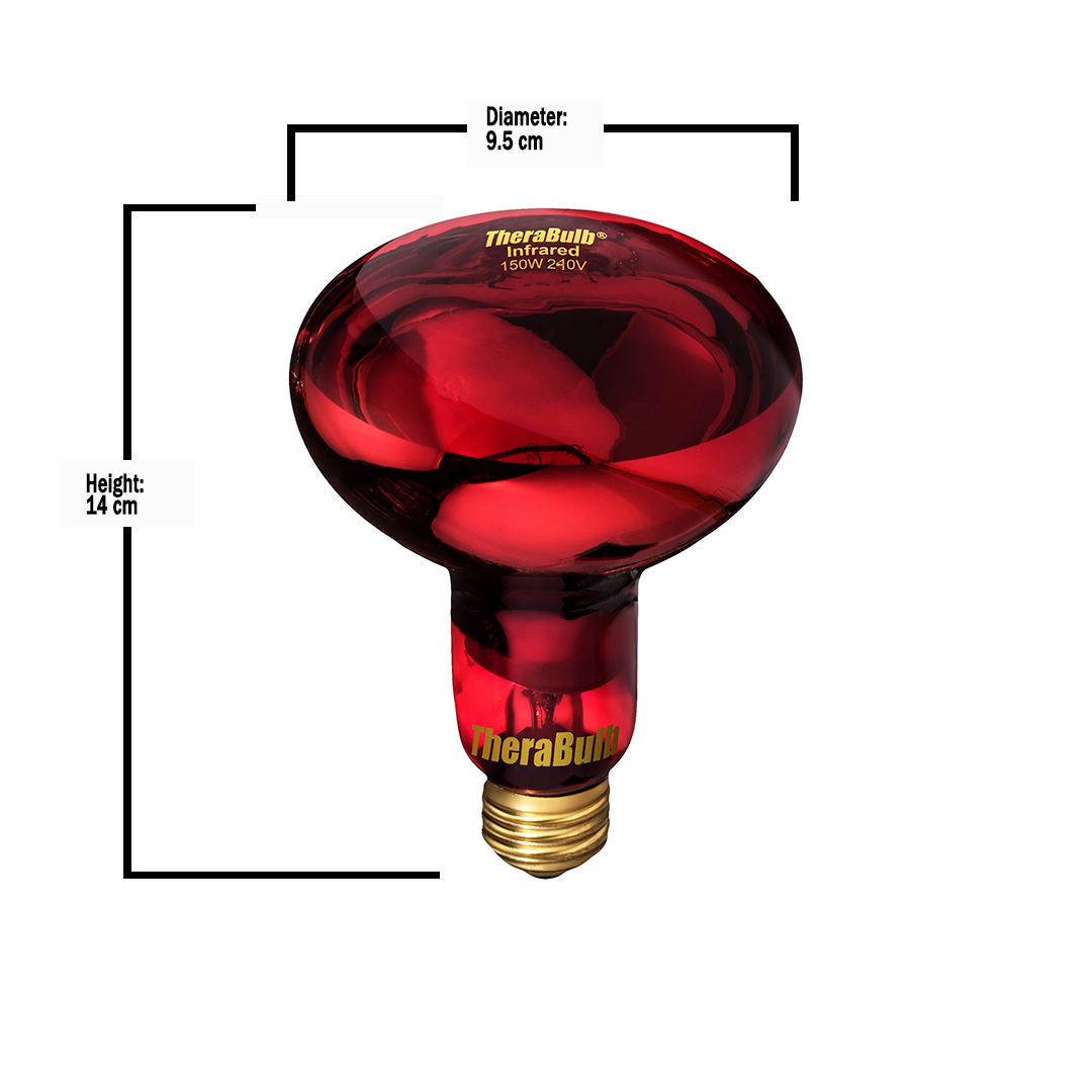 150W Near Infrared Heat Bulb 240V Europe, Asia, Africa & Oceania | TheraBulb