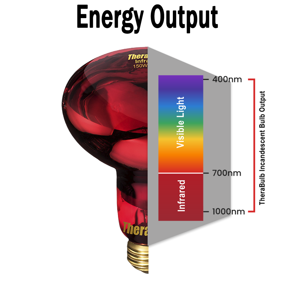 150W Near Infrared Heat Bulb 240V Europe, Asia, Africa & Oceania | TheraBulb