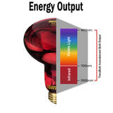 150W Near Infrared Heat Bulb 240V Europe, Asia, Africa & Oceania | TheraBulb