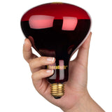 300W Near Infrared Heat Bulb 240V Europe, Asia, Africa & Oceania | TheraBulb