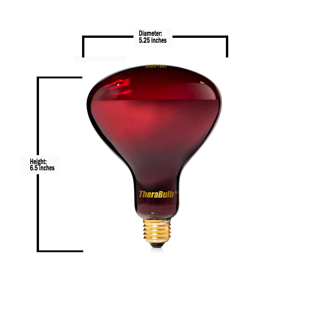 500W Freestanding Lamp & TheraBulb 250W Near Infrared Bulb Bundle