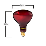 500W Freestanding Lamp & TheraBulb 250W Near Infrared Bulb Bundle