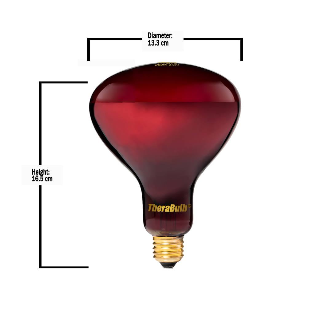 250W Near Infrared Heat Bulb 240V Europe, Asia, Africa & Oceania | TheraBulb