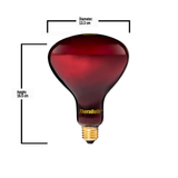 250W Near Infrared Heat Bulb 240V Europe, Asia, Africa & Oceania | TheraBulb