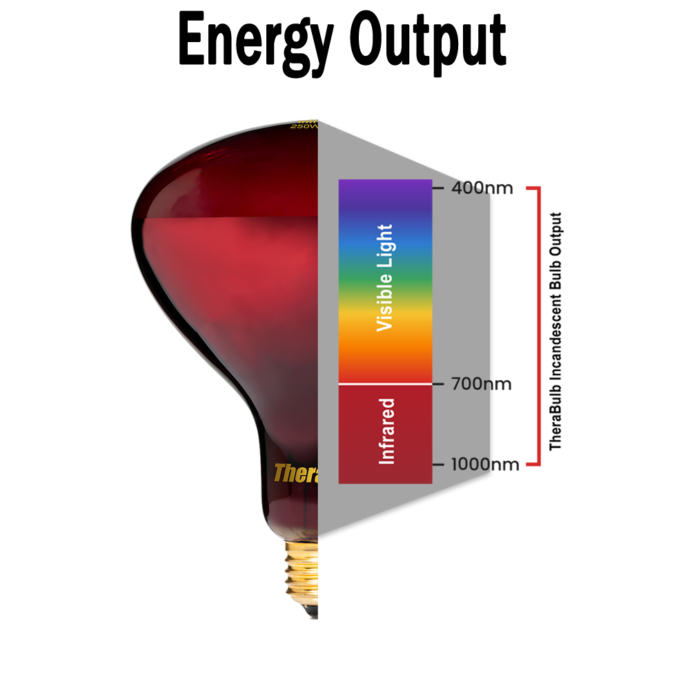 250W Near Infrared Heat Bulb 240V Europe, Asia, Africa & Oceania | TheraBulb