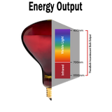 250W Near Infrared Heat Bulb 240V Europe, Asia, Africa & Oceania | TheraBulb