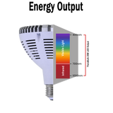 25W Near Infrared LED Bulb Universal Voltage | TheraBulb
