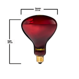 300W Near Infrared Heat Bulb 240V Europe, Asia, Africa & Oceania | TheraBulb