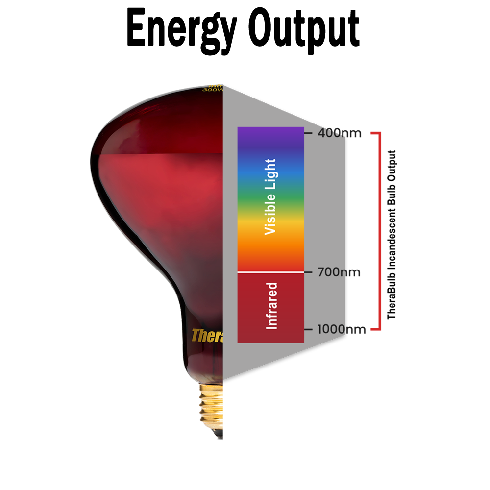 300W Near Infrared Heat Bulb 240V Europe, Asia, Africa & Oceania | TheraBulb