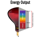 300W Near Infrared Heat Bulb 240V Europe, Asia, Africa & Oceania | TheraBulb