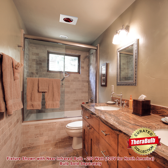 250W Bulb Heater with Exhaust Fan (120V for North America)