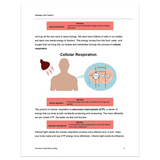 Infrared Light Therapy for Recovery, Fitness, Skin Care, and Total-Body Wellness