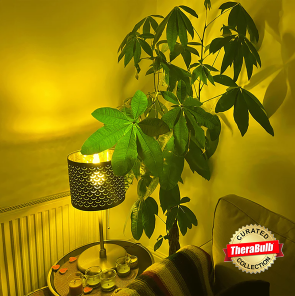 Ocubulb Blue Light Blocking Bulb (E27 for Africa, Asia, Europe, Oceania)