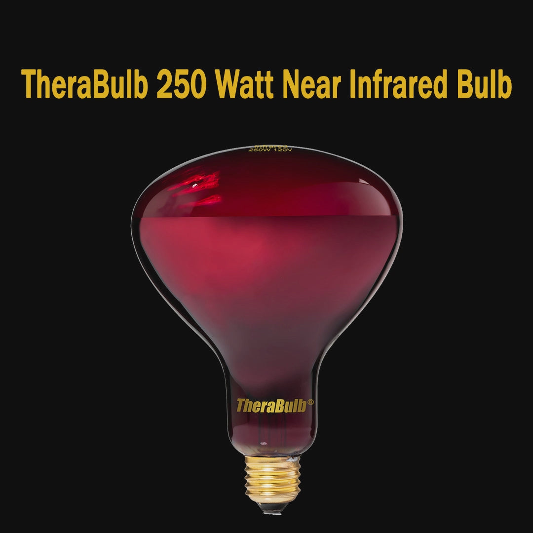 250W Near Infrared Heat Bulb 240V Europe, Asia, Africa & Oceania | TheraBulb