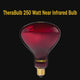 250W Near Infrared Heat Bulb 240V Europe, Asia, Africa & Oceania | TheraBulb