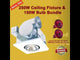 300W Clamp Lamp